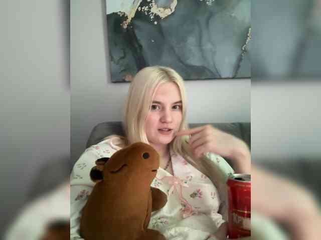 Lerek webcam