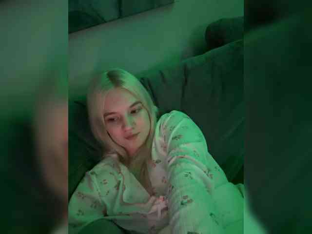 Lerek webcam