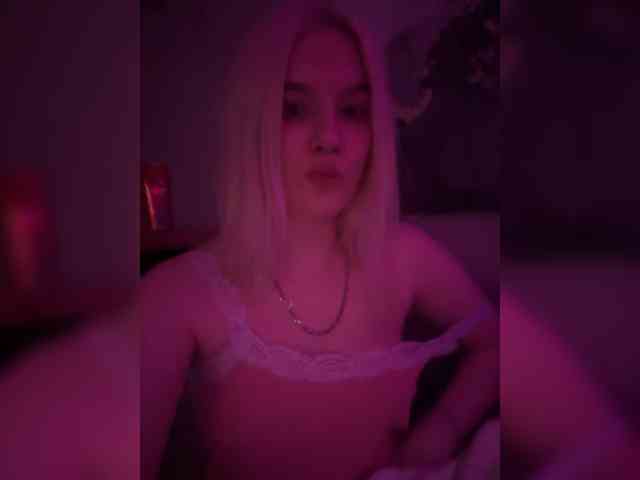 Lerek webcam