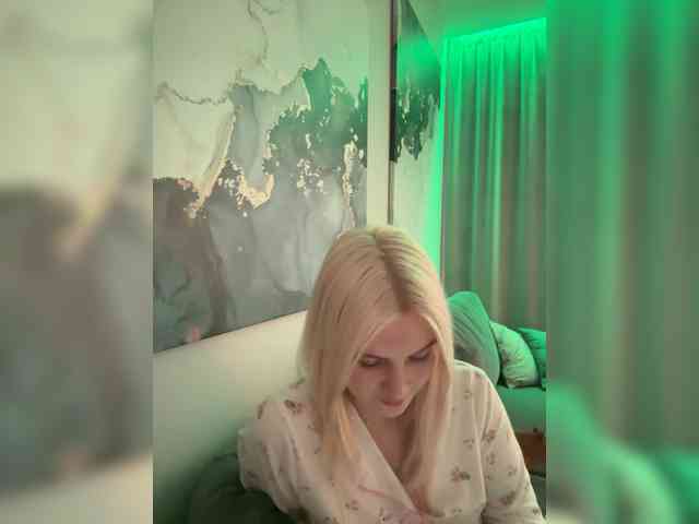 Lerek webcam