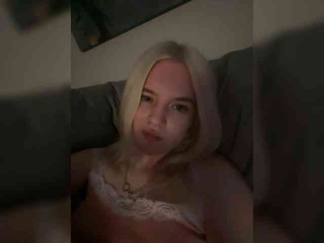 Lerek webcam