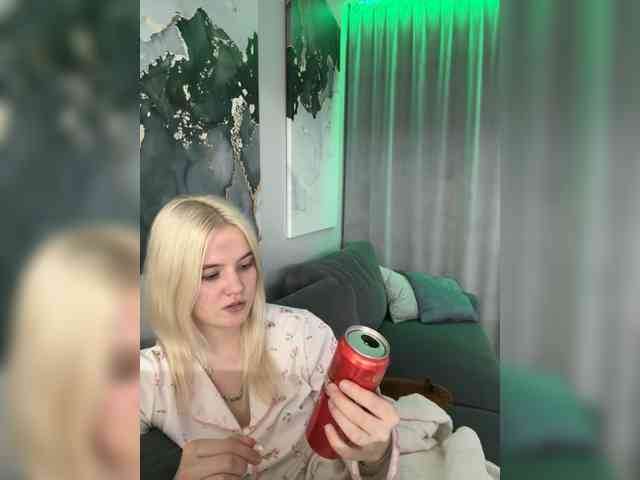 Lerek webcam