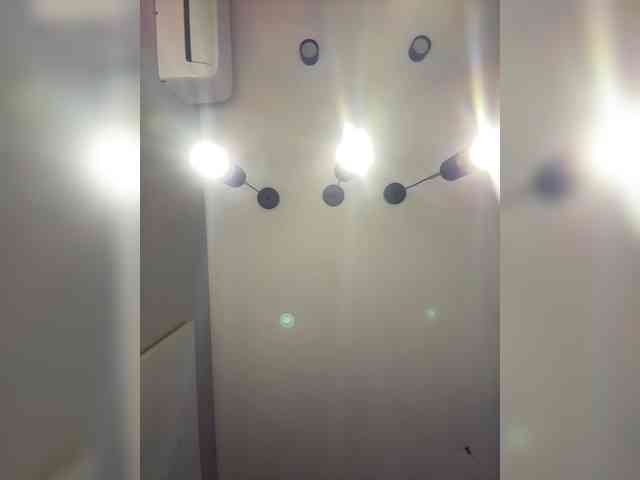 Lerek webcam