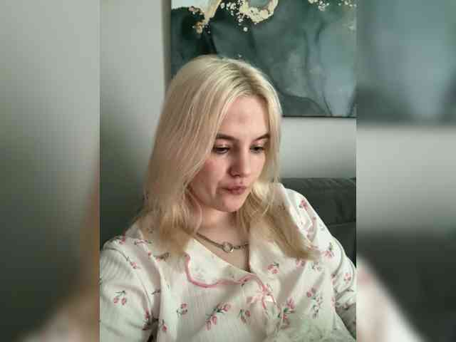 Lerek webcam