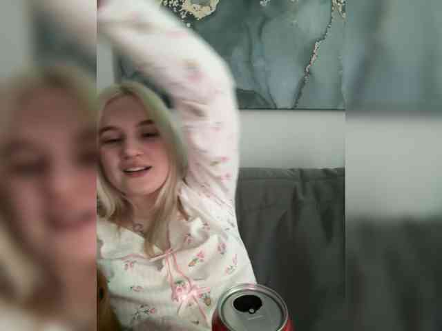 Lerek webcam