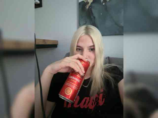 Lerek webcam
