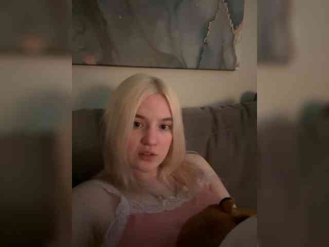 Lerek webcam