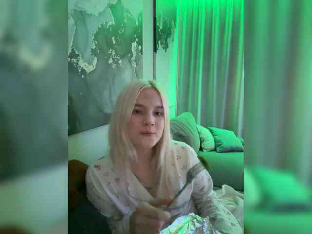 Lerek webcam