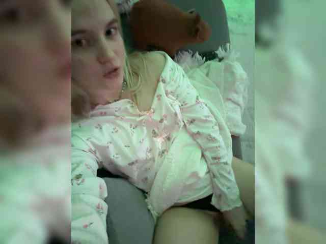 Lerek webcam