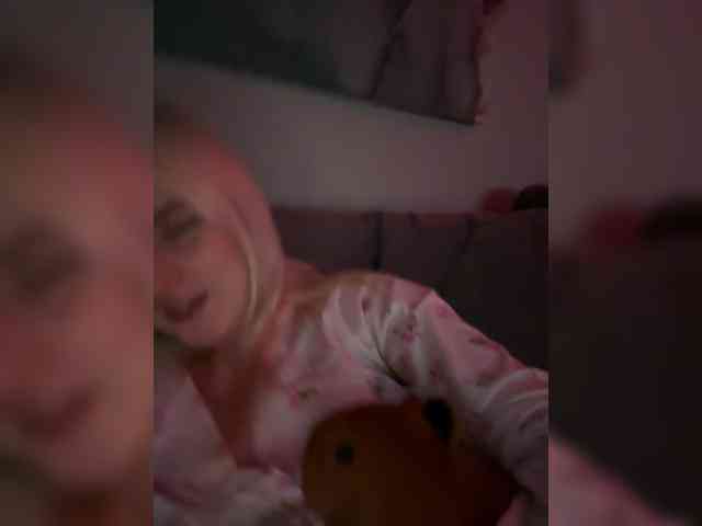 Lerek webcam