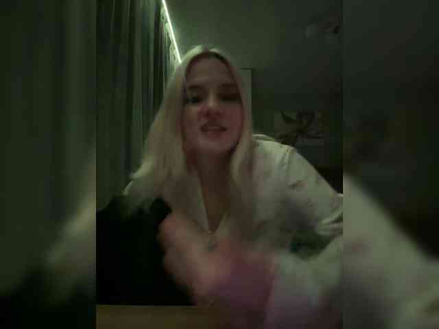 Lerek webcam