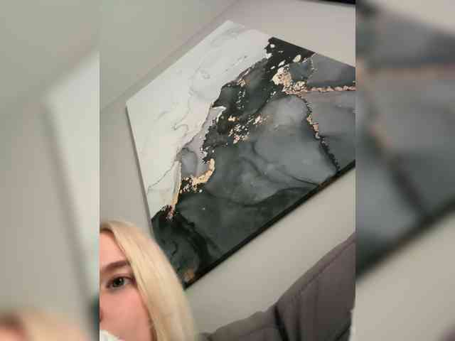 Lerek webcam