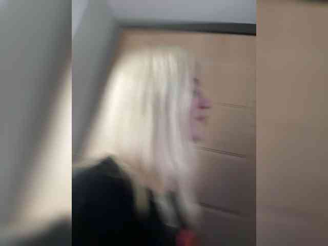 Lerek webcam