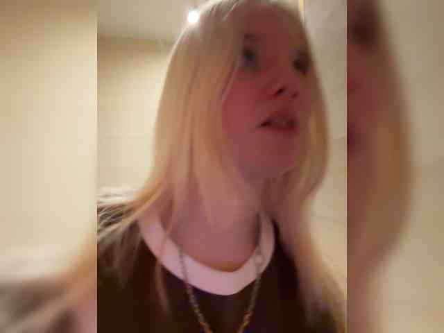 Lerek webcam