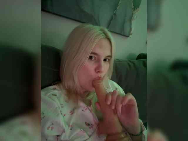 Lerek webcam