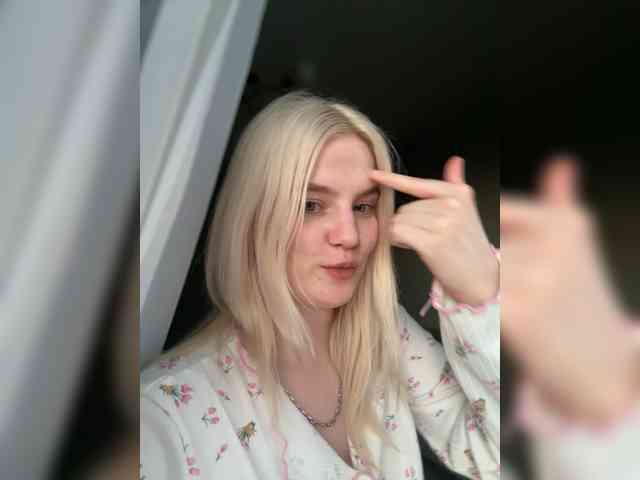 Lerek webcam