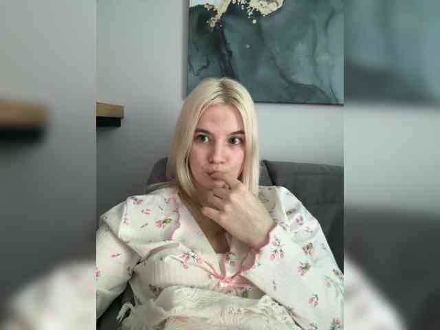 Lerek webcam