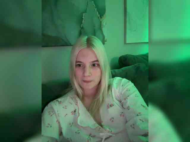 Lerek webcam