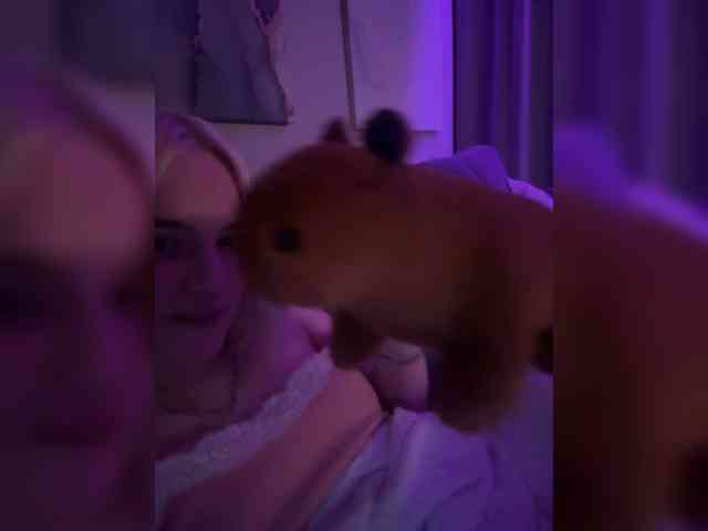 Lerek webcam