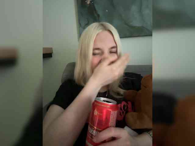 Lerek webcam