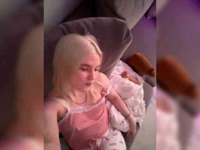 Lerek webcam