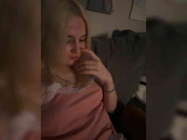Lerek webcam