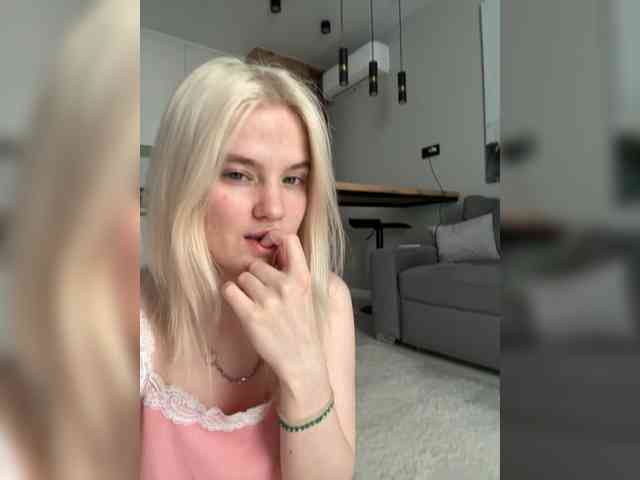 Lerek webcam