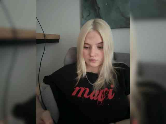 Lerek webcam