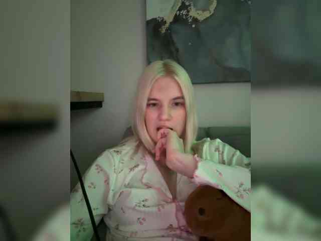 Lerek webcam