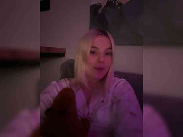 Lerek webcam