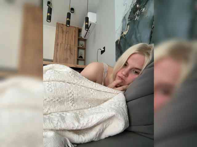 Lerek webcam