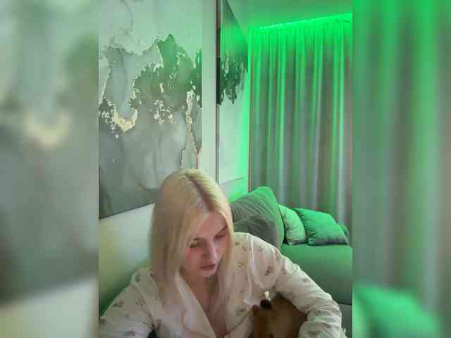 Lerek webcam