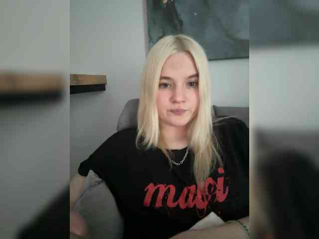 Lerek webcam