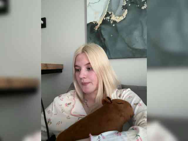 Lerek webcam