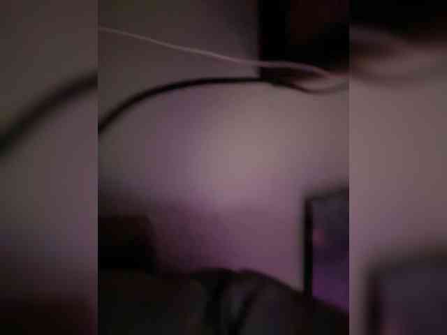 Lerek webcam