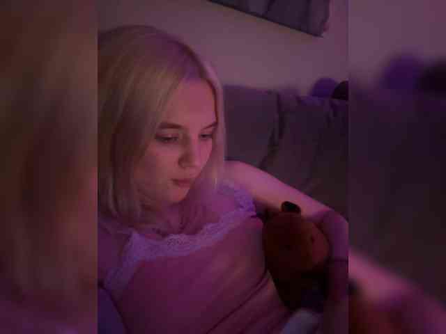 Lerek webcam