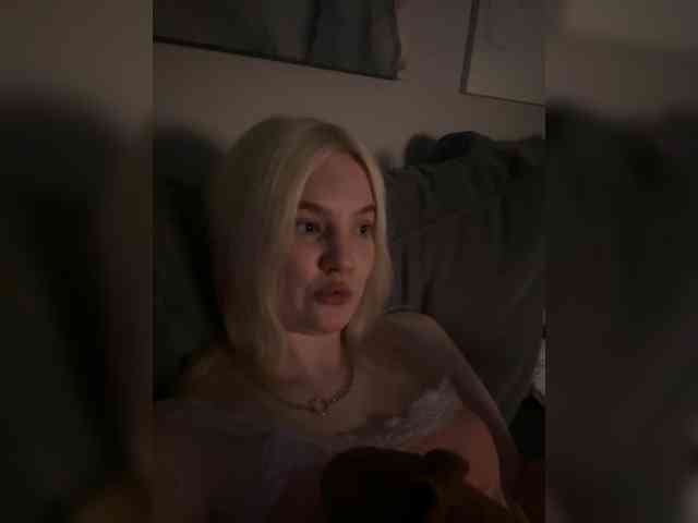 Lerek webcam