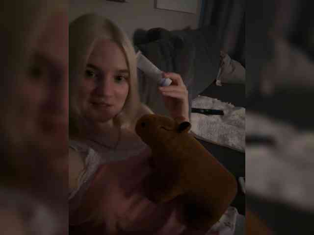 Lerek webcam