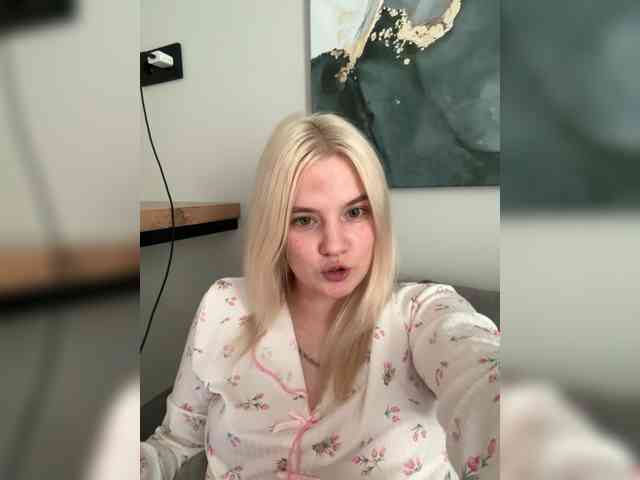 Lerek webcam