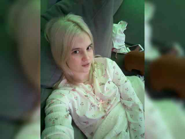 Lerek webcam