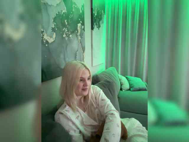 Lerek webcam