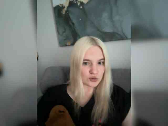 Lerek webcam
