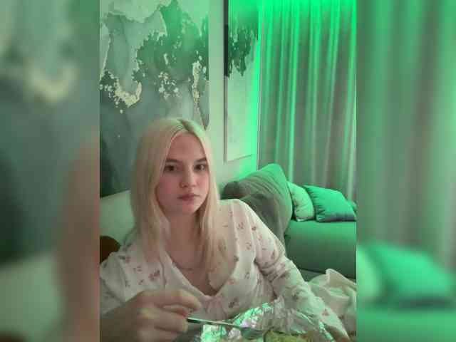 Lerek webcam