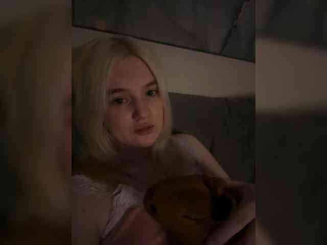 Lerek webcam