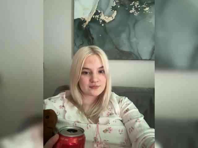 Lerek webcam
