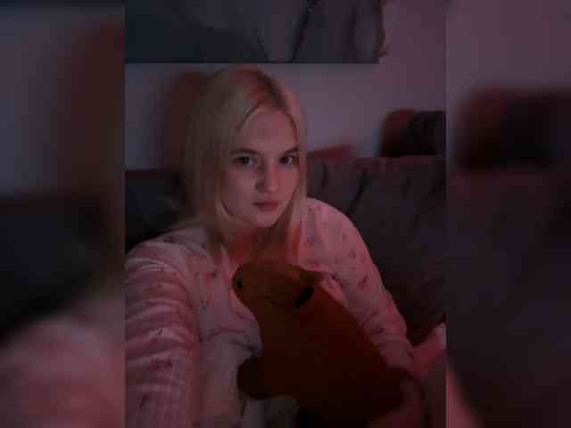 Lerek webcam