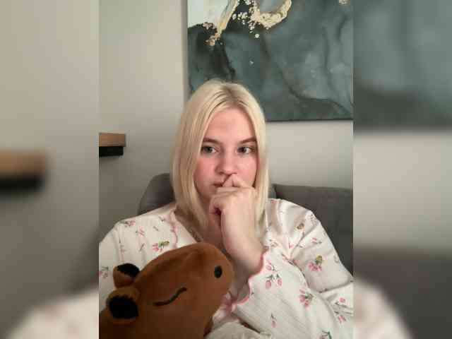 Lerek webcam