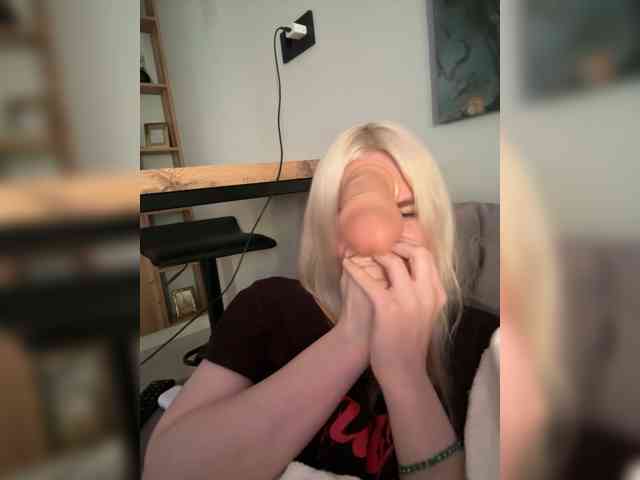 Lerek webcam