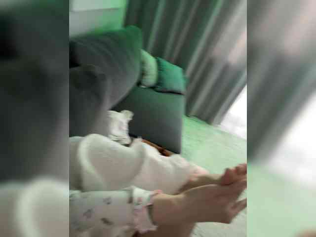 Lerek webcam