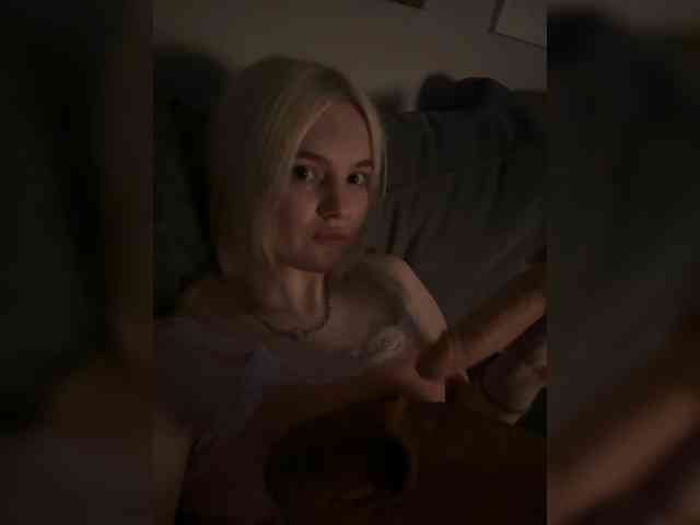 Lerek webcam